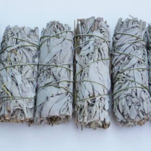 6” White Sage Bundle