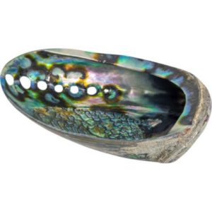 Abalone Shell - Grade A - Polished - Large