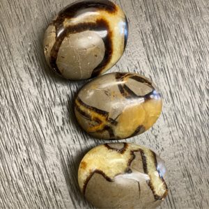 Septarian Nodule aka Dragon stones